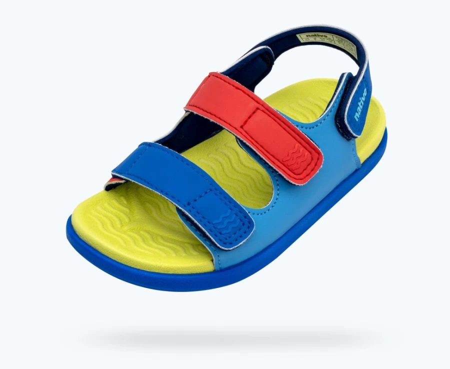 Native Shoes Frankie Sugarlite Child - Girls' Lightweight Sneakers in Resting Blue, Celery Green, UV Blue & Hyper Strap Colors